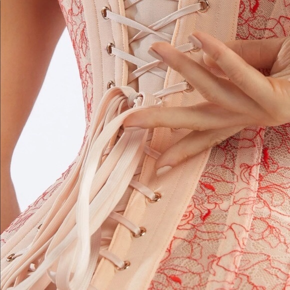 Savage X Fenty Candy Apple Lace Corset - Picture 3 of 8